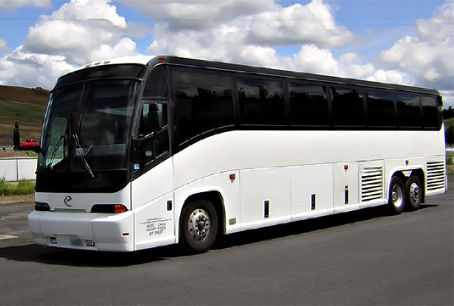 New Smyrna Beach 45 Passenger Party Bus 